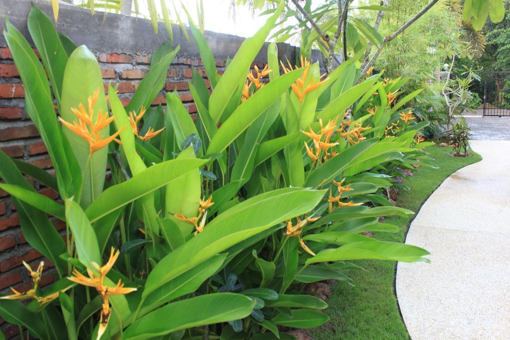 Albany Home Stay Kuta  외부 사진